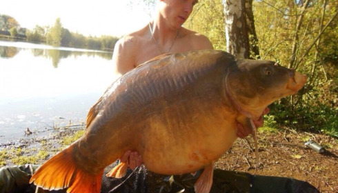 A 50 lb 8 oz carp from Old Oaks, Gary Philip Mardle, Apr 2014