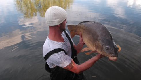 A 31 lb carp from Old Oaks, Derek Thompson, Oct 2013
