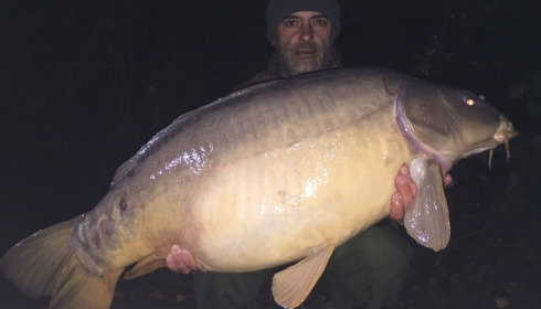 A carp from Old Oaks, Adrian Storer, Nov 2015