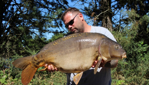 A 34 lb carp from Old Oaks, Stewart Cliff, Jul 2019
