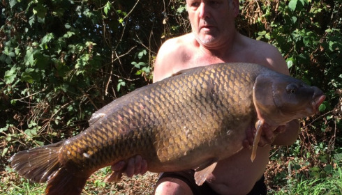 A 48 lb 2 oz carp from Old Oaks, David King, Sep 2015