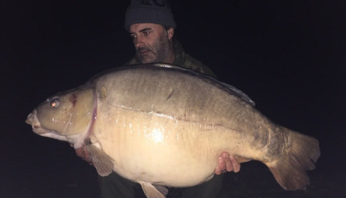 A carp from Old Oaks, Adrian Storer, Nov 2015