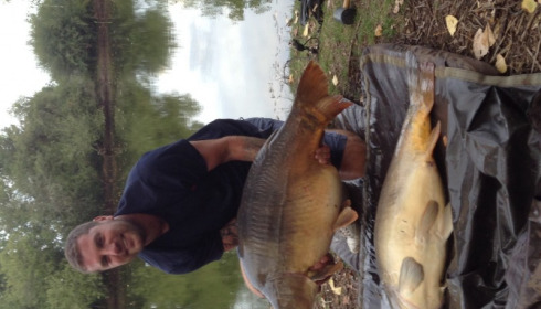 A 50 lb carp from Old Oaks, Sean Lackenby, Aug 2015