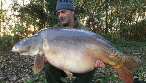 A carp from Old Oaks, Adrian Storer, Nov 2015