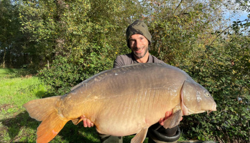 A carp from Old Oaks, Nov 2022