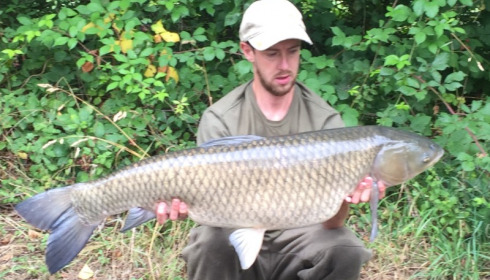 A 31 lb 2 oz grass carp from Old Oaks, Martin Nichols, Jul 2017