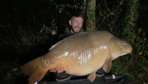 A carp from Old Oaks, Nov 2022