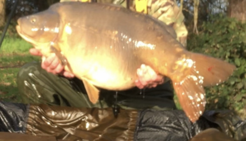 A 35 lb fish from Old Oaks, Jan 2023