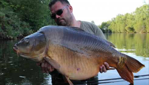 A 53 lb 9 oz carp from Old Oaks, Stewart Cliff, Jul 2019