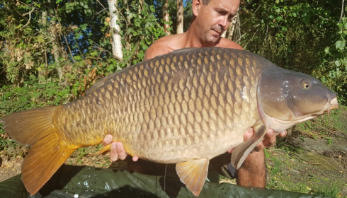 A 48 lb carp from Old Oaks, Russell Perkins, Sep 2016