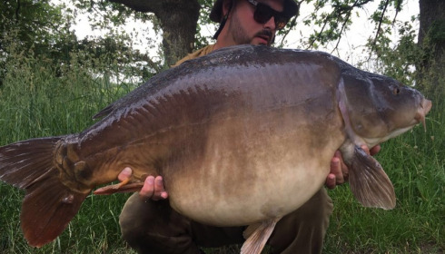 A 45 lb carp from Old Oaks, Lee I Anson , Jun 2016