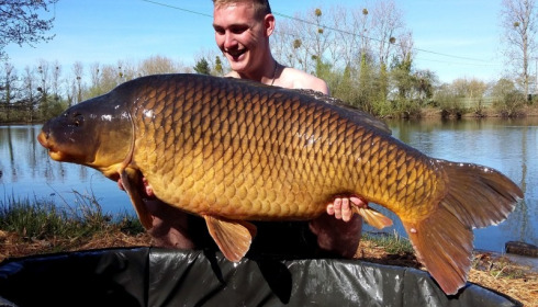 A 64 lb 8 oz carp from Old Oaks, Apr 2015