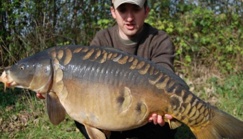 A 33 lb carp from Old Oaks, What a beauty !, Apr 2010