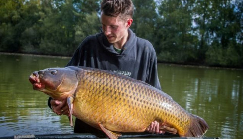 A 62 lb 6 oz carp from Old Oaks, Stuart Lemon, Oct 2014