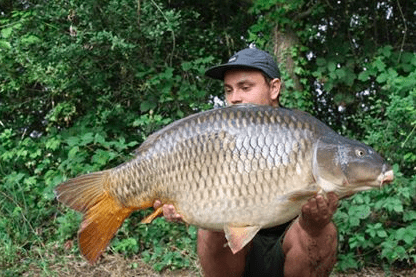 A carp from Old Oaks, JayJay Murray, Jul 2017