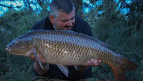 A carp from Old Oaks, Andy Gilbert, Jul 2019