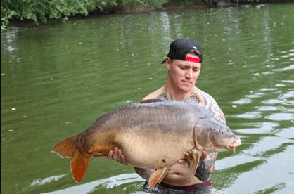 A carp from Old Oaks, Jul 2017
