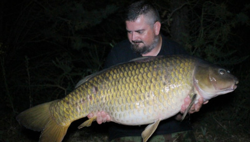 A carp from Old Oaks, Andy Gilbert, Jul 2019