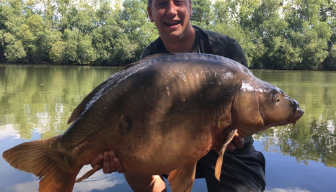 A 43 lb 8 oz carp from Old Oaks, Alfi Major, Aug 2016