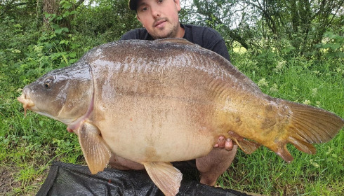 A 50 lb carp from Old Oaks, Jun 2021
