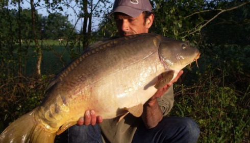 A 31 lb 8 oz carp from Old Oaks, May 2006