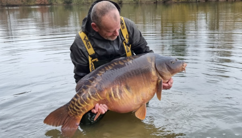 A fish from Old Oaks, Beautiful mirror carp, Nov 2021