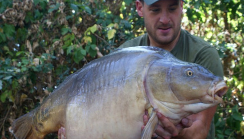 A carp from Old Oaks, Neil Martin Group, Aug 2013