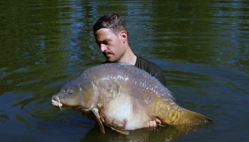A carp from Old Oaks, Neil Martin Group, Aug 2013