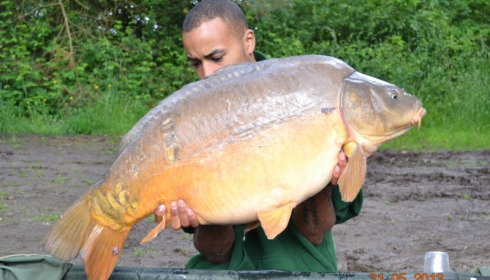 A 44 lb carp from Old Oaks, May 2013