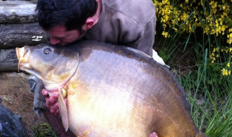 A 58 lb carp from Old Oaks, Lake record mirror for a week, May 2013