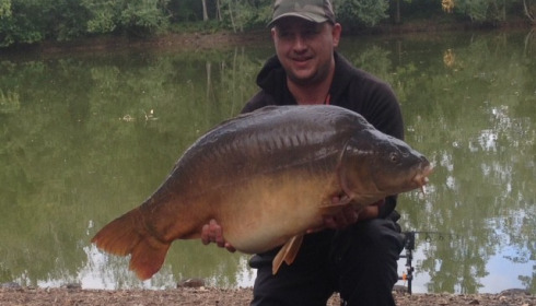 A carp from Old Oaks, Oct 2015