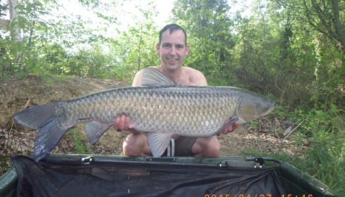 A 31 lb 12 oz grass carp from Old Oaks, Paul Oulton, May 2015