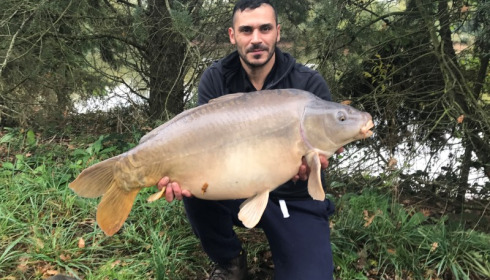 A carp from Old Oaks, Nicolas Delcolle, Oct 2017