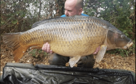 A 53 lb 8 oz carp from Old Oaks, Sep 2019
