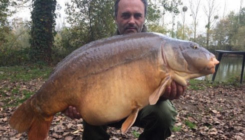 A carp from Old Oaks, Adrian Storer, Nov 2015