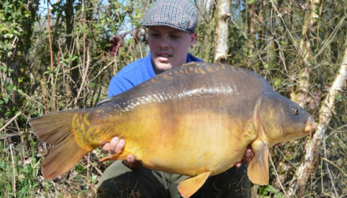 A 34 lb 6 oz carp from Old Oaks, Apr 2015