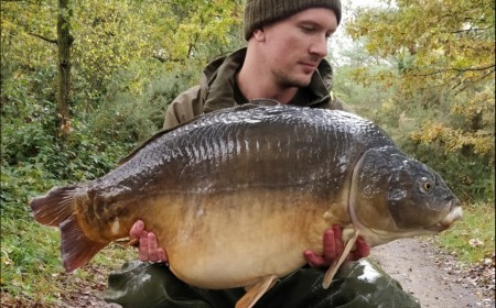 A carp from Old Oaks, Nov 2018