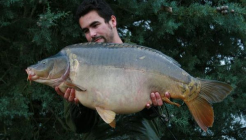 A 42 lb carp from Old Oaks, The new lake record stocked !, Jan 2007