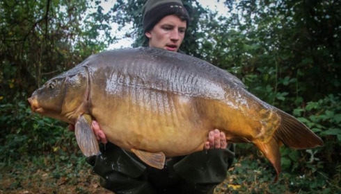 A 41 lb 14 oz carp from Old Oaks, Stuart Lemon, Oct 2014