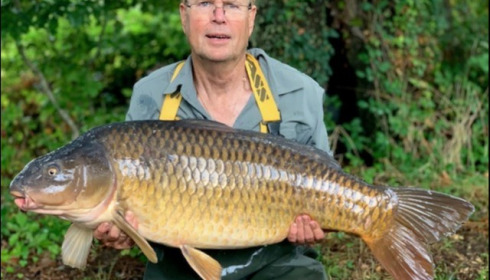 A carp from Old Oaks, Aug 2019
