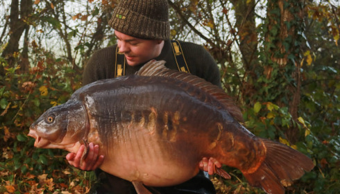 A 65 lb 1 oz carp from Old Oaks, James Litchfield, Nov 2021
