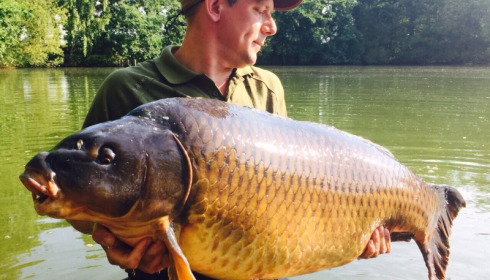 A 65 lb 2 oz carp from Old Oaks, Kevin Cox, Jun 2015