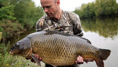 A carp from Old Oaks, Aug 2017