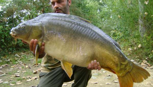 A 41 lb 6 oz carp from Old Oaks, Ade Storer, Sep 2010