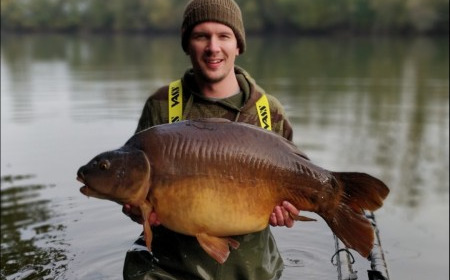 A carp from Old Oaks, Nov 2018
