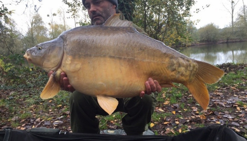 A carp from Old Oaks, Adrian Storer, Nov 2015