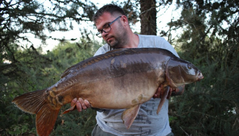 A carp from Old Oaks, Stewart Cliff, Jul 2019