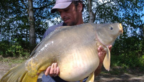 A 33 lb carp from Old Oaks, May 2006
