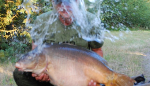 A carp from Old Oaks, Mike Johnson, Jul 2017