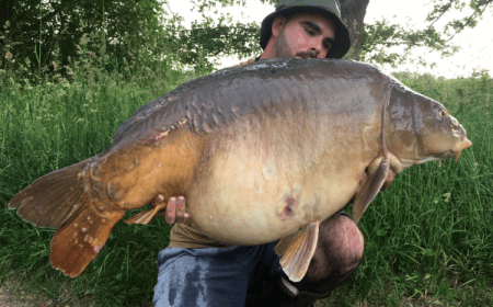 A 52 lb carp from Old Oaks, Lee I Anson , Jun 2016